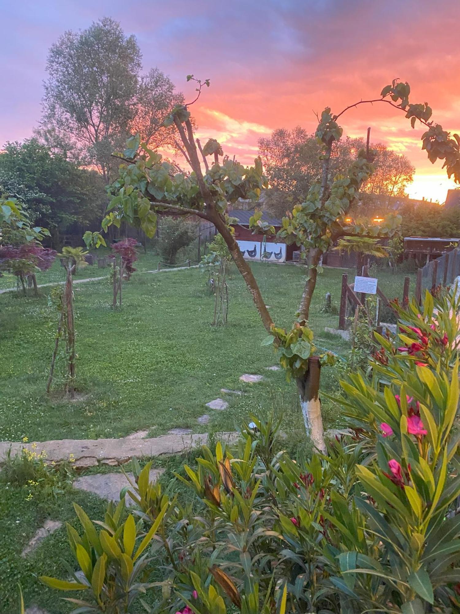 Kerpe Diem Otel المظهر الخارجي الصورة