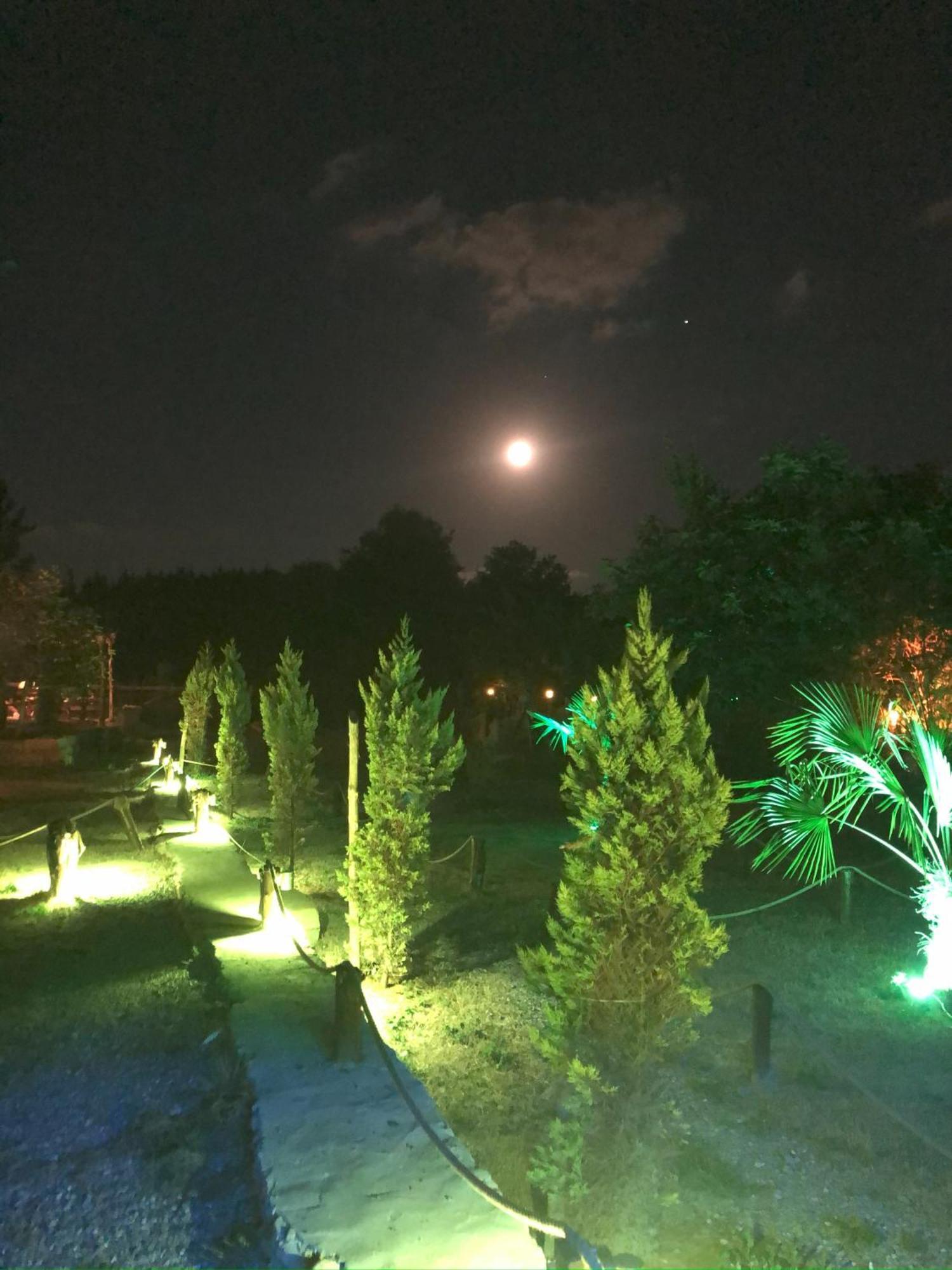 Kerpe Diem Otel المظهر الخارجي الصورة