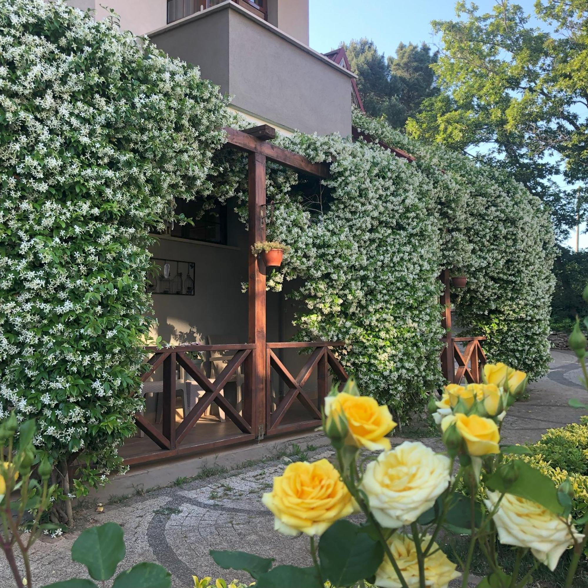 Kerpe Diem Otel المظهر الخارجي الصورة